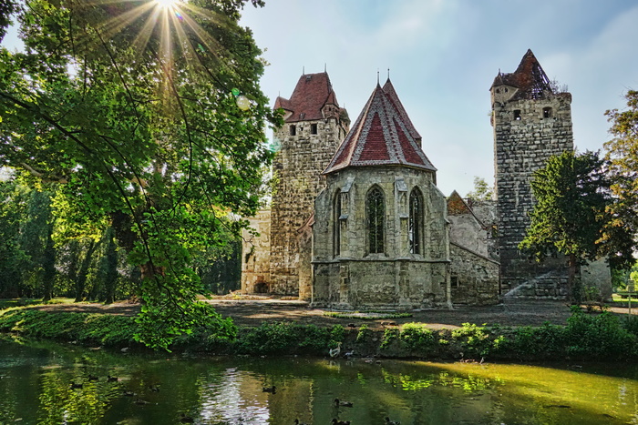 公园、树木、教堂、城堡废墟、夏季、绿色、风景、水