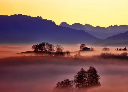 山,高地,风景,雾,天空,树木,植物,自然 山,高地,风景,雾,天空,树木,植物,自然