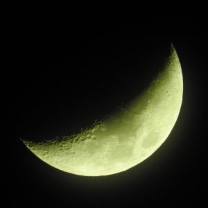 美国，里奇伍德，夜晚，辉光，月亮，天体摄影，照明，太空