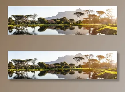 树木和山脉全景摄影