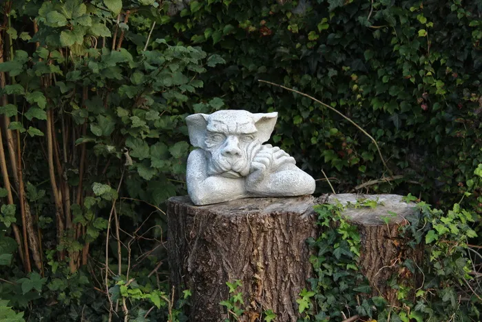 巨魔，花园，雕像，花园，巨魔，花园雕像，树桩，幻想，手表