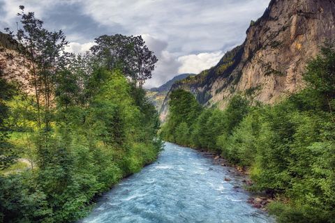 河流、山脉、自然、景观、树木、Wilderswill、瑞士、植物