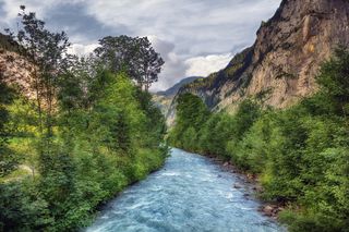 河流、山脉、自然、景观、树木、Wilderswill、瑞士、植物