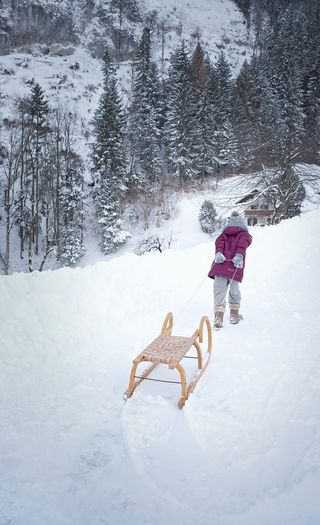 人，人，孩子，女孩，步行，雪橇，冬天，雪