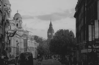 伦敦, 英国, 特拉法加工作室, 树, 街, 塔, 剧院, 建筑物