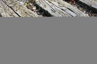 木材、灰色、自然、复制空间、建筑、白天、木质材料、建筑结构