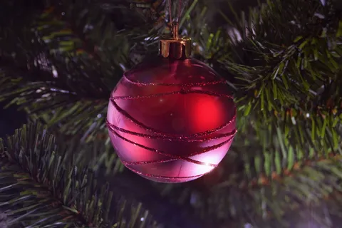 装饰品，圣诞树，圣诞树，圣诞树，装饰品，灯，灯，圣诞节