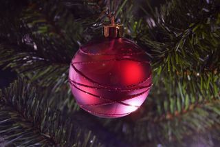 装饰品，圣诞树，圣诞树，圣诞树，装饰品，灯，灯，圣诞节