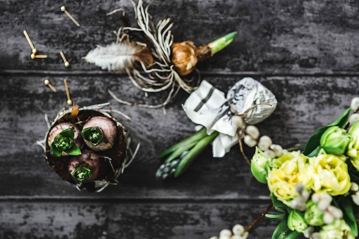 在一个小罐子里做一个小观赏幼苗的女人