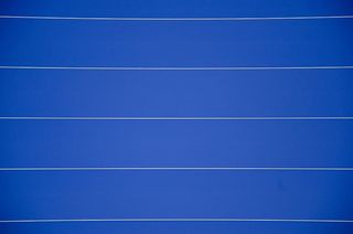 墙、植物、草、植物、背景、蓝色、无人、田径