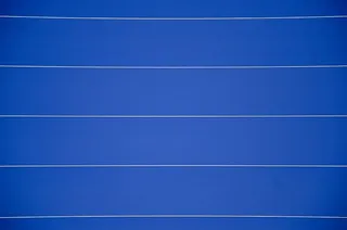 墙、植物、草、植物、背景、蓝色、无人、田径