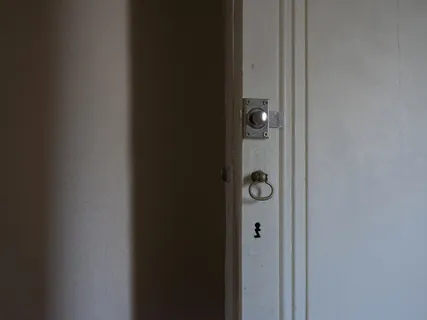 带铰链的白色木门