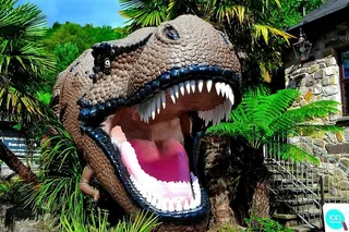 动物，恐龙，爬行动物，侏罗纪，怪物，捕食者，史前，卡通