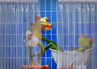 青蛙，浴室，有趣，可爱，青蛙，甜蜜，有趣，洗澡