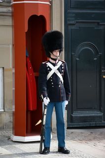 士兵，丹麦，丹麦，制服，历史，游客，军队，女王