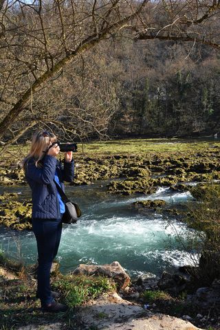 河流，自然，森林，风景，秋天，灯光，秋天的颜色，女人