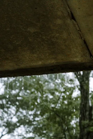 美国，白杨山，雷雨，快门速度，绿色，雨，波基，水滴