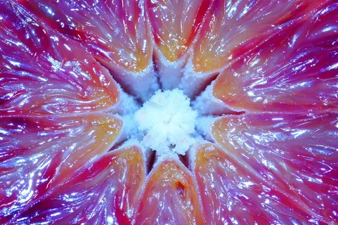 果肉, 柑橘, 水果, 葡萄柚, 血橙, 柑橘类水果, 横截面, 细胞