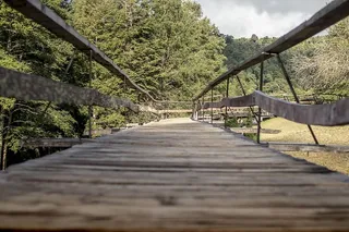 建筑、木板路、桥梁、扶手、栏杆、智利、智利、内尔图姆岛