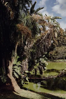 葡萄牙里斯本贝伦热带植物园 葡萄牙里斯本贝伦热带植物园