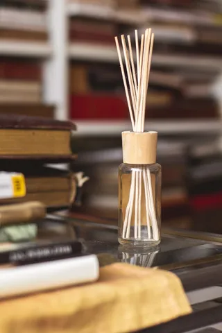 房间气味、图书馆、书籍、心情、舒适、家、装饰、室内