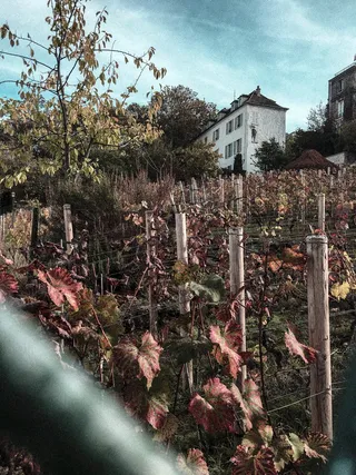 法国、巴黎、蒙马特、法国、环法艾菲尔、维尼、贾丁、花园