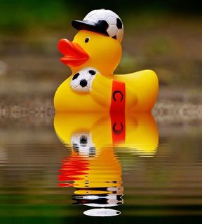 橡胶鸭，浴鸭，镜子，水，足球，安静的蛋糕，有趣的夏天，可爱的