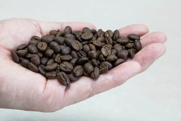 先生，咖啡，豆类，食品，杯子，农作物，浓缩咖啡，食品和饮料