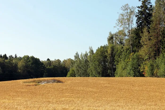 埃斯波，莱普瓦拉，芬兰，莱帕瓦拉，作物，田地，景观，树木