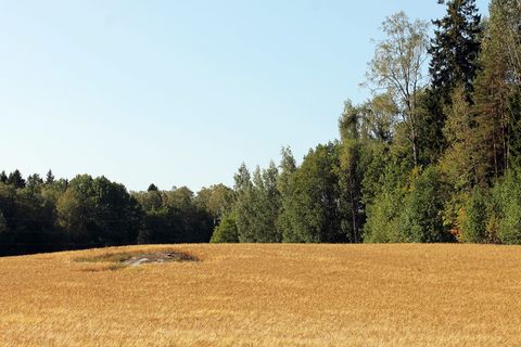 埃斯波，莱普瓦拉，芬兰，莱帕瓦拉，作物，田地，景观，树木