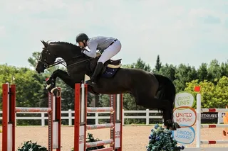 一个人骑马的照片