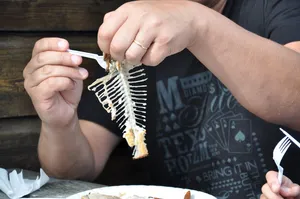 鱼，鱼骨，透明，垫子，手，一人，手持，人手