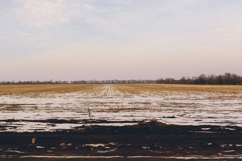 雪，雪，壁纸，背景，田野，平静，宁静，寒冷的温度