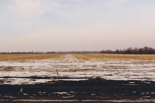 雪，雪，壁纸，背景，田野，平静，宁静，寒冷的温度