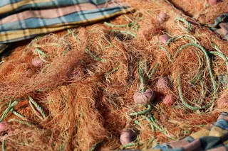 渔夫，网络，图案，大海的纹理，老，鱼，狩猎，狩猎