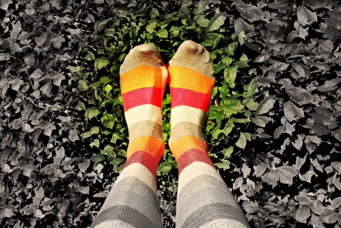 选择性、聚焦摄影、袜子、果岭、草地、脚、腿、身体