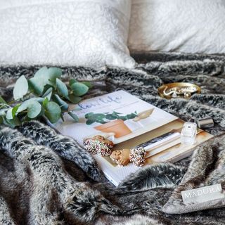 法国，巴黎，街角的克莱姆，家，家，甜蜜的家，冬天，缓慢的生活，书