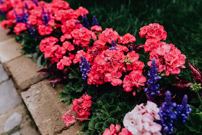 意大利威尼斯城堡花店