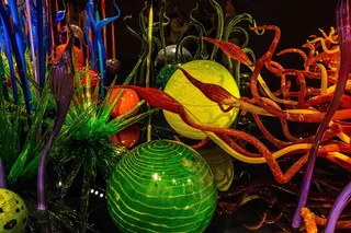 chihuly，glass，旅游，多彩，创意，生动，西雅图，华盛顿