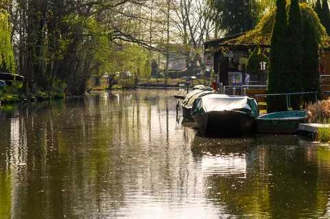 河流、水、自然、景观、spreewald、spree、channel、trees 河流、水、自然、景观、spreewald、spree、channel、trees