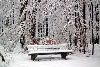 雪，长椅，赫托根瓦尔德，冬天，低温，白色，下雪，汽车