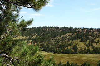 布莱克山，南达科他州，达科他州，景观，户外，旅游，旅游，自然