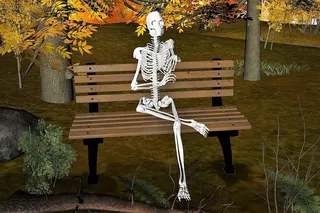 骷髅、长凳、森林、幻想、神秘、超现实、恐怖、万圣节