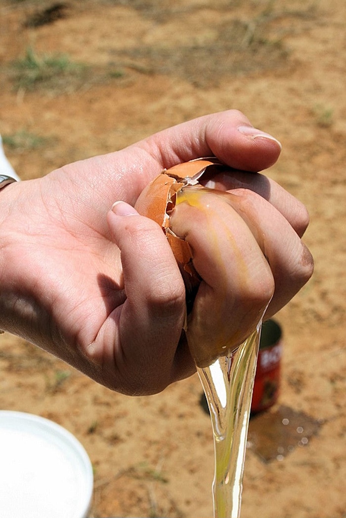 碎蛋、破碎、健康食品、浪费、人的手、手、人体部位、手指