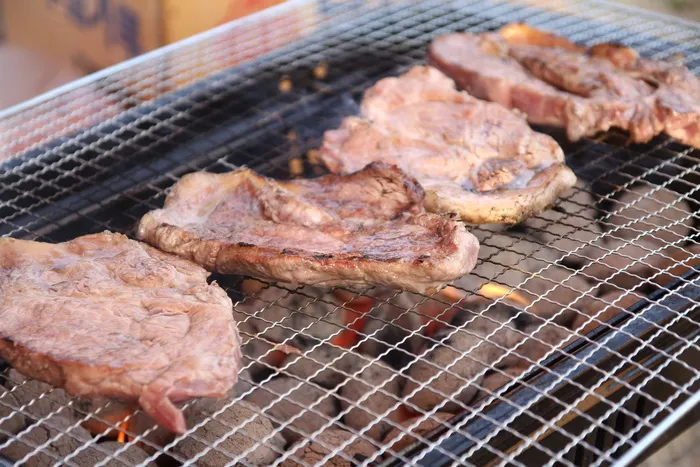 野营，肉，猪肉，烤，轻版，买脖子，野营地，烧烤