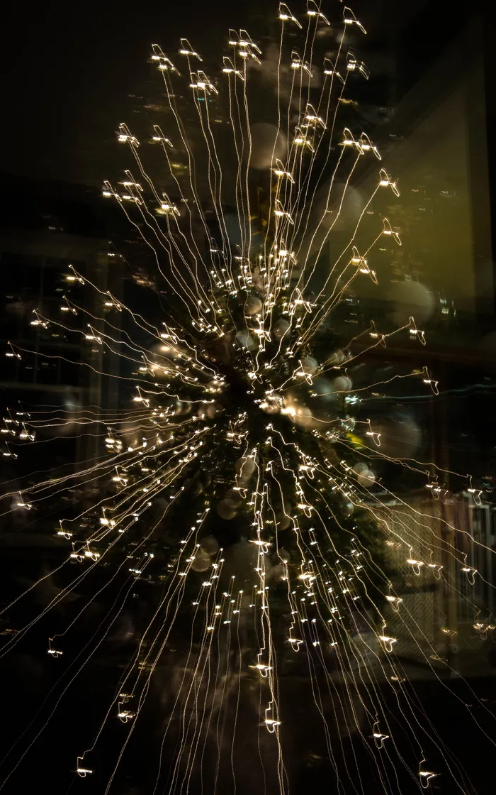 圣诞节，树，光，曝光，捕捉，流，佳能，快门