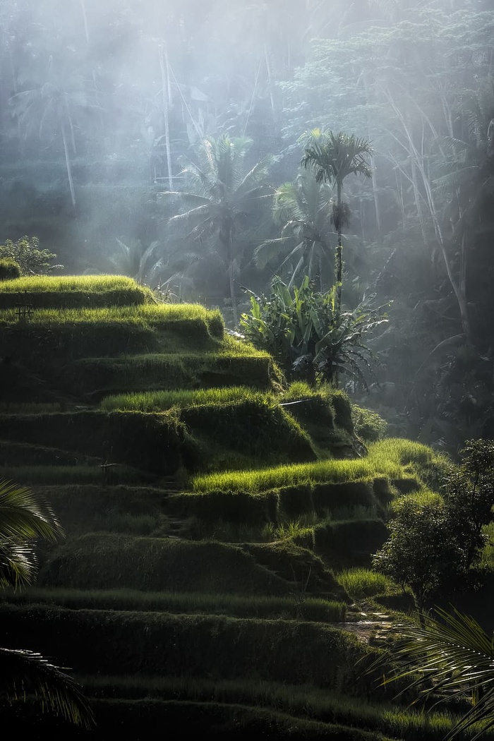 青山