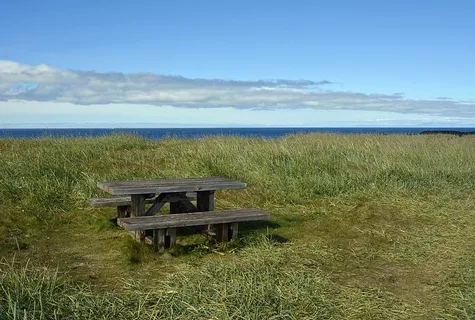 野餐长凳，周围，草地，田野，桌子，银行，野餐桌，野餐