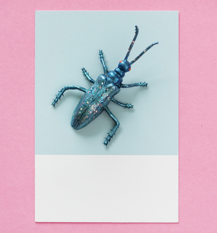 摘要, 动物, 背景, 蓝色, Bug, 卡, 五彩纸屑, 装饰
