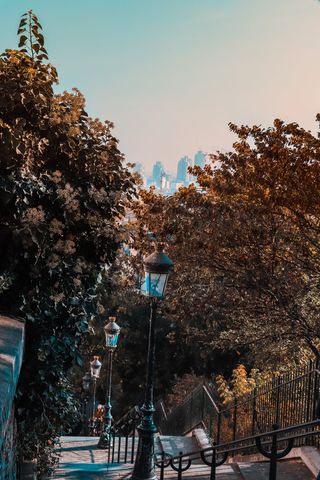 树，工厂，巴黎，蒙马特，法国，城市，车轮，机器